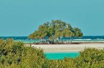Private Trip to sharm el Lulli and wadi el Qulaan from Marsa Alam