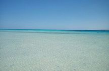 Private Trip to sharm el Lulli and wadi el Qulaan from Marsa Alam