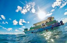 Half-Day Florida Keys Catamaran Snorkel Adventure