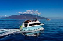Maui Snorkeling Molokini Crater Uncrowded, Unhurried.