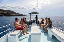 Maui Snorkeling Molokini Crater Uncrowded, Unhurried.