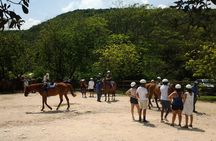 Horseback Ride Ziplining and Dunn's River Falls Adventure from Montego Bay,