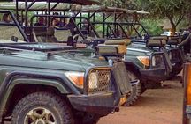 Safari Game Drive: Dinokeng Game Reserve