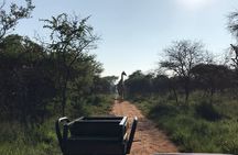 Safari Game Drive: Dinokeng Game Reserve