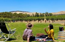 Picnic and Wine Tasting Experience in the Barossa Valley