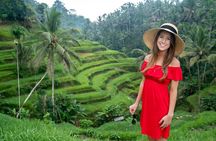 Skip-the-Line: Ubud Tour - All Inclusive Tickets