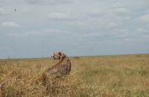 5 days Tanzania Camping Safari