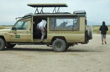 5 days Tanzania Camping Safari