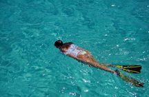 Half-Day Florida Keys Catamaran Snorkel Adventure