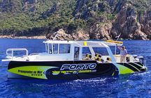 Calanches de Piana and Scandola Reserve cruise with swimming stop