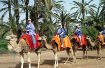 Private Guided City Tour to Discover The Medina or Old Town of Marrakech