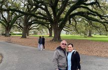 Half-Day Oak Alley Plantation Tour in Vacherie