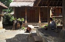 Skip-the-Line: Ubud Tour - All Inclusive Tickets
