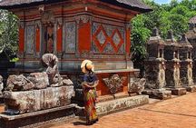 Skip-the-Line: Ubud Tour - All Inclusive Tickets