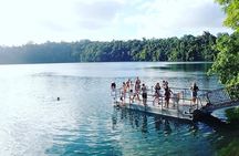 Fun, Falls and Forests Day Trip from Cairns