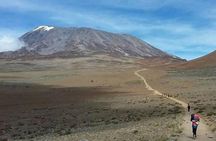 Mt Kilimanjaro Climb - 6 days Marangu