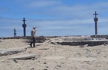 Skeleton Coast Cape Cross Seal colony Tour