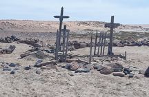 Skeleton Coast Cape Cross Seal colony Tour