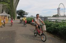 Singapore City Bike Tour