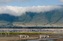 Ngorongoro Crater Day Trip