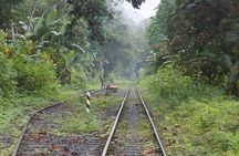 San Cipriano Natural Reserve Full Day Adventure