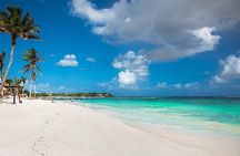 Amazing Adventure in Akumal. Swim with turtles and discover Tulum Ruins.