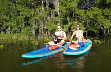 Paddle with Pups in Paradise - Paddleboard or Kayak