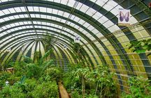 Full Monteverde Cloud Forest Experience With Ziplining.