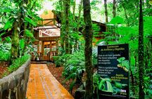 Selvatura Park: Herpetarium Tour in Monteverde
