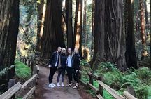 San Francisco & Muir Woods Full Day Small Group Private Tour