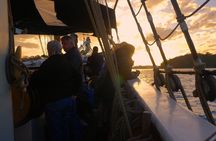 Sydney Harbour Tall Ship Afternoon Discovery Cruise
