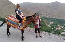 Full-Day Private Atlas Mountains and Agafay Desert Tour
