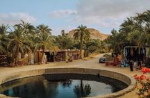 7 Day tour Cairo Alexandria and Siwa Oasis