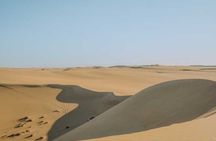 7 Day tour Cairo Alexandria and Siwa Oasis