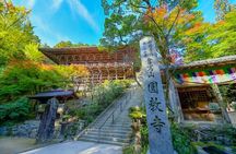 A Tour to Visit Himeji's Popular Destinations in a day!