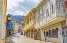 Full Day Private Wine Tasting Tour In Kakheti Region 