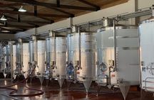 Full Day Private Wine Tasting Tour In Kakheti Region 