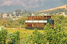 Taste + Tram the Winelands Tour: Franschhoek, Stellenbosch, Paarl