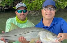 4-Hour Private Inshore Fishing Trip in Sarasota
