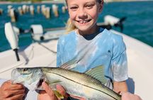 4-Hour Private Inshore Fishing Trip in Sarasota