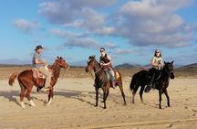 Horseback riding