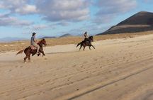 Horseback riding