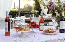 Wine and food tasting in an organic family winery