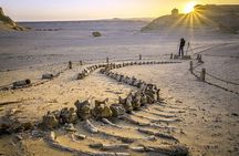 Wadi Al Hitan Day Trip From Cairo