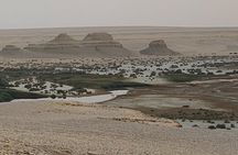 Wadi Al Hitan Day Trip From Cairo