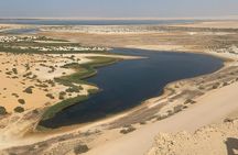 Wadi Al Hitan Day Trip From Cairo