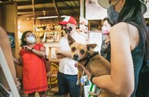 Oaxaca Street Food Tour. Signature Markets Tour