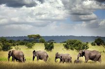 6 Days Mid-Range Tanzania Safari