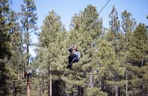 Flagstaff Extreme Adventure Course-Adult Course