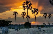 Private Full-Day Trip to Mikumi National Park from Dar es Salaam